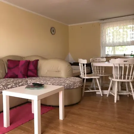 Kuca Za Odmor Davidovic Despotovac