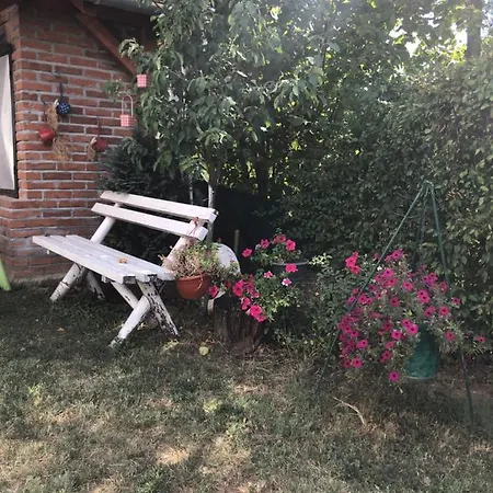 Kuca Za Odmor Davidovic Apartment