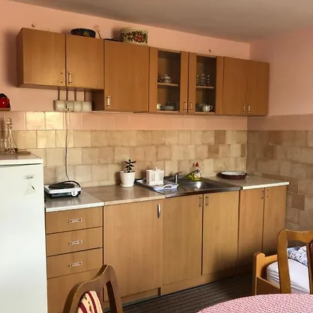 Kuca Za Odmor Davidovic *