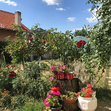 Kuca Za Odmor Davidovic Apartamento *