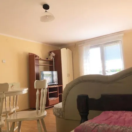 Kuca Za Odmor Davidovic Apartment
