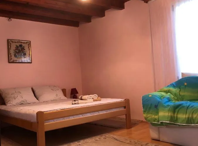 Kuca Za Odmor Davidovic *