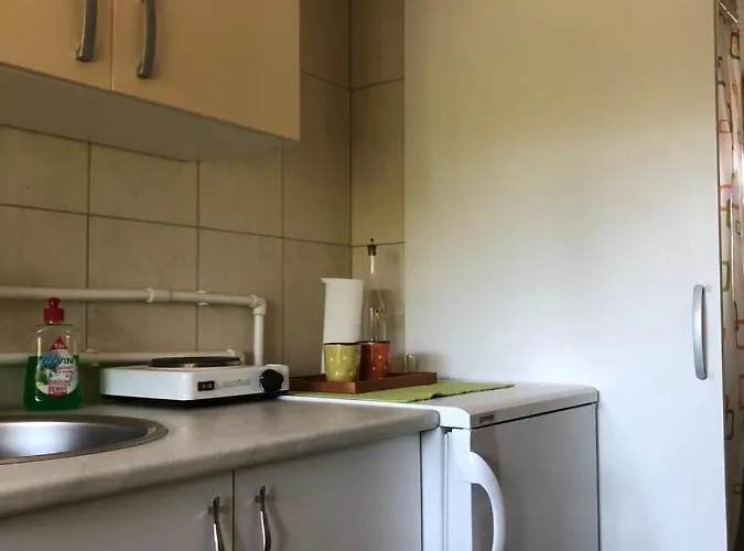 Kuca Za Odmor Davidovic 아파트 데스포토바츠