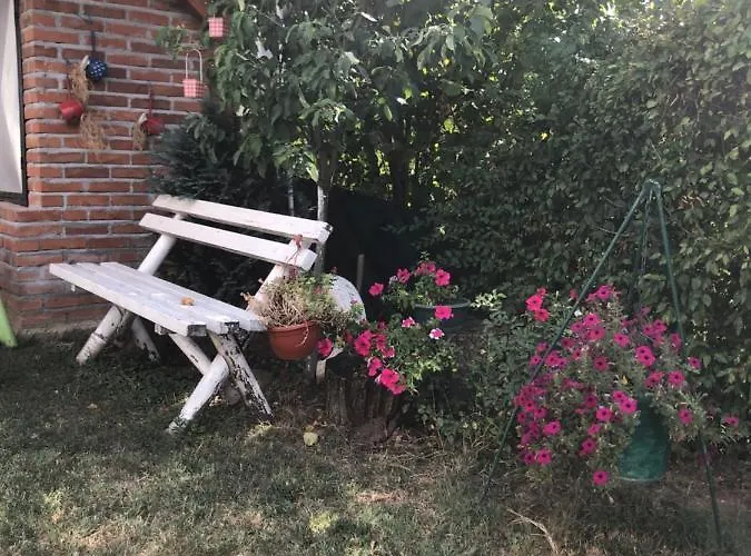 Kuca Za Odmor Davidovic 아파트