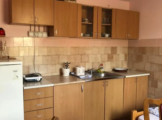 Kuca Za Odmor Davidovic *