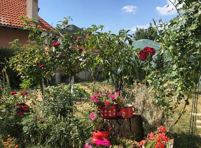 Kuca Za Odmor Davidovic 아파트 *